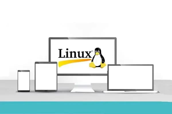 LINUX