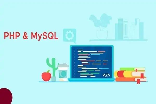 PHP & MySQL